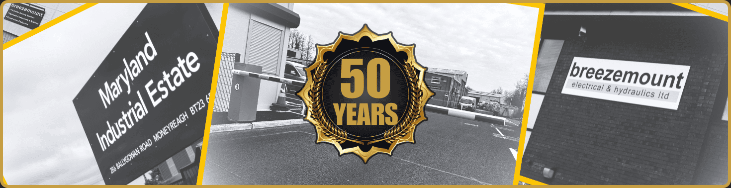 basic 50 years web banner (2)